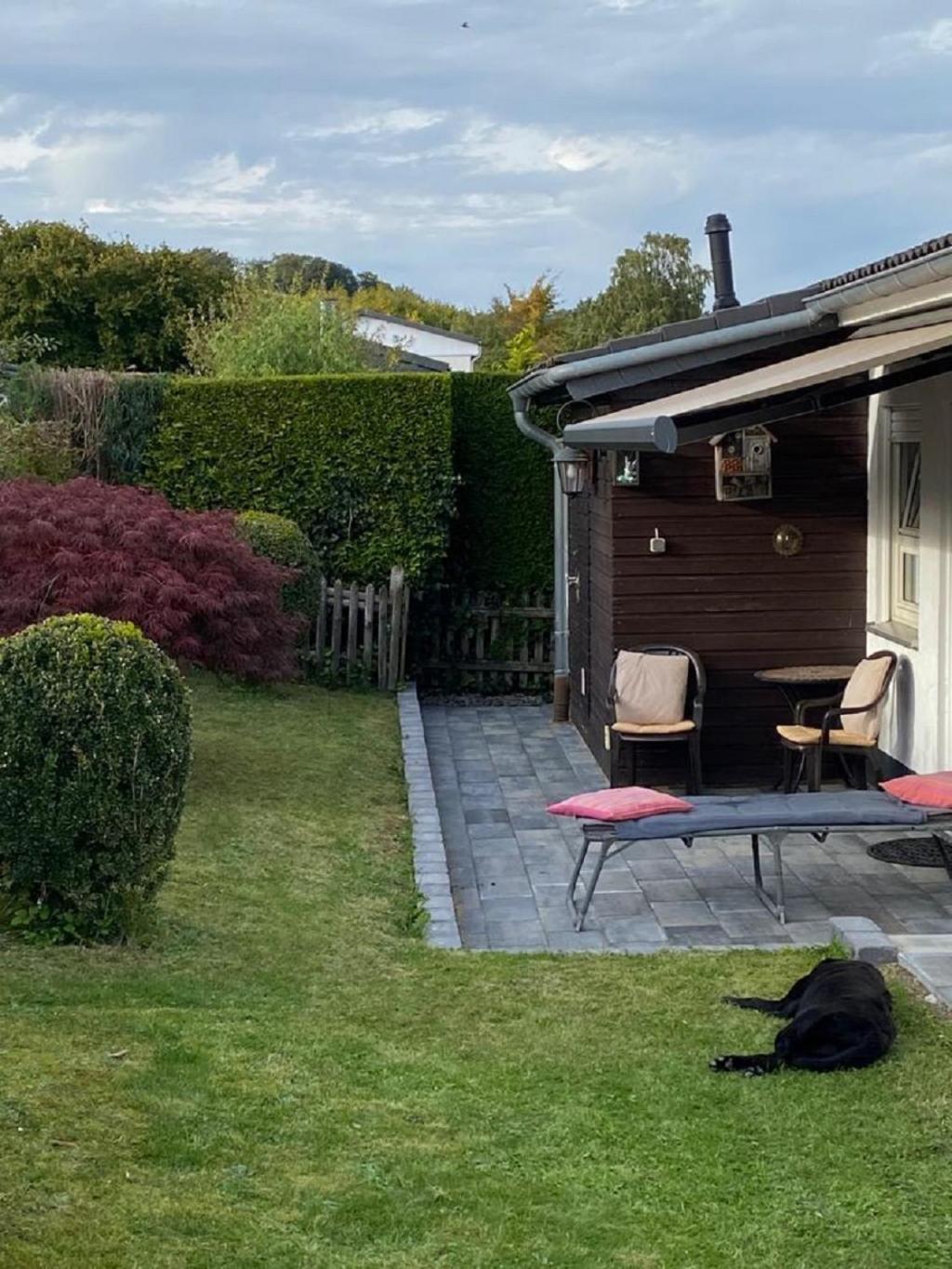 Ferienhaus Glueckspilz Beim Hennesee Meschede Bagian luar foto