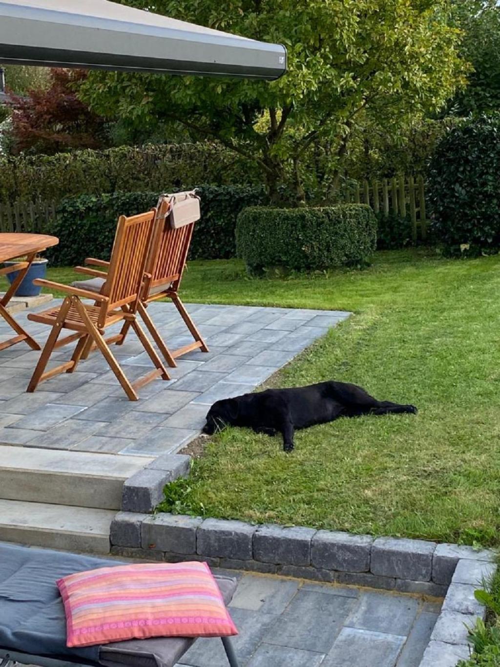 Ferienhaus Glueckspilz Beim Hennesee Meschede Bagian luar foto